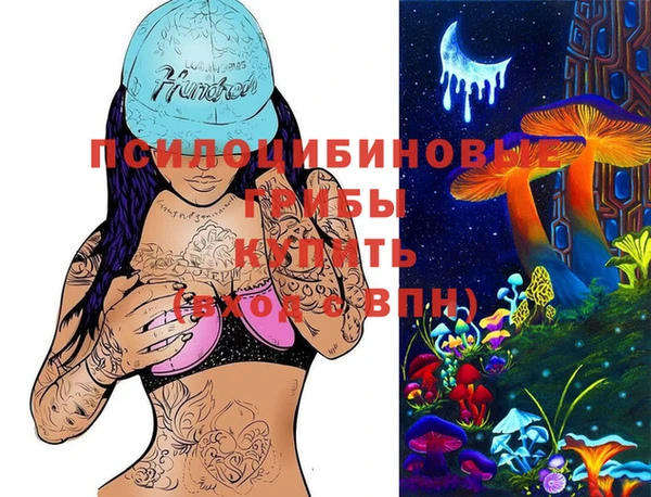 2c-b Медвежьегорск