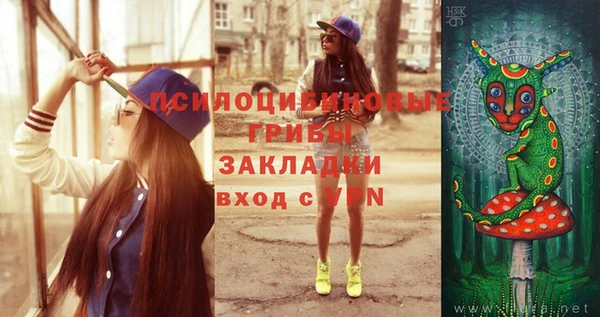 герыч Медногорск