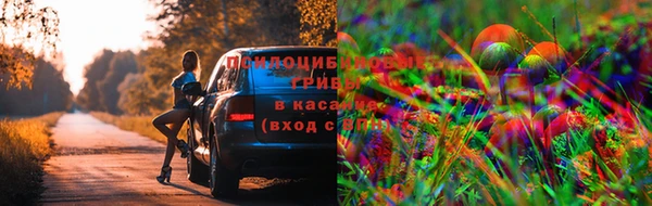 2c-b Мегион
