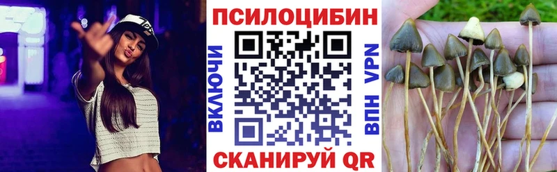 Купить  Северо-Курильск  Псилоцибиновые грибы GOLDEN TEACHER 
